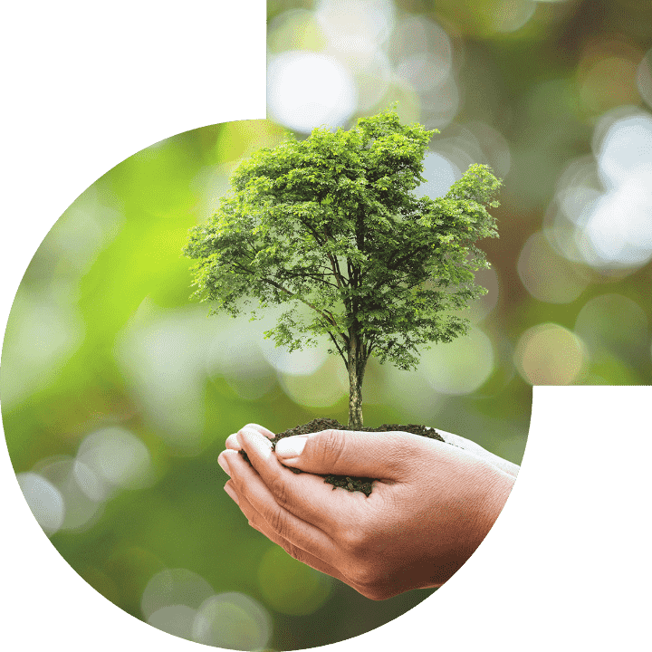 关怀人类、、文化、、、环境与社会